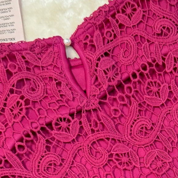 Fuchsia Lace Dressy Church Top by Philosophy - XXL - Picture 5 of 7
